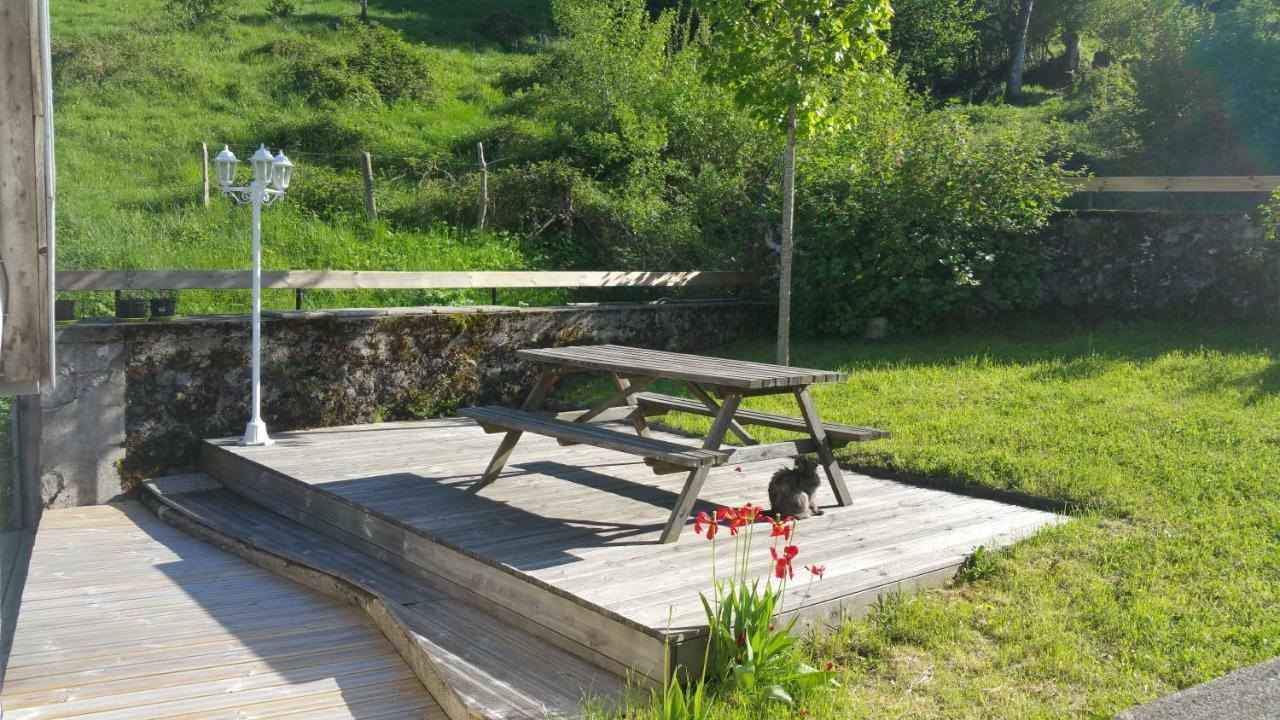 Maison Du Pays De Salers Dans Le Parc Des Volcans D'Auvergne Saint-Projet-de-Salers Экстерьер фото